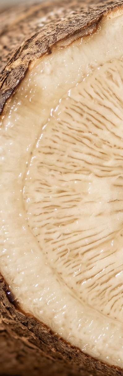 Triple-Action Prebiotics ·