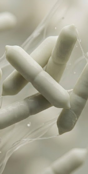 Targeted Probiotic ·